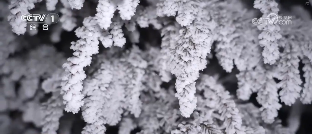 抗风雪、战寒潮、保畅通、护民生 各地各部门积极应对雨雪冰冻天气